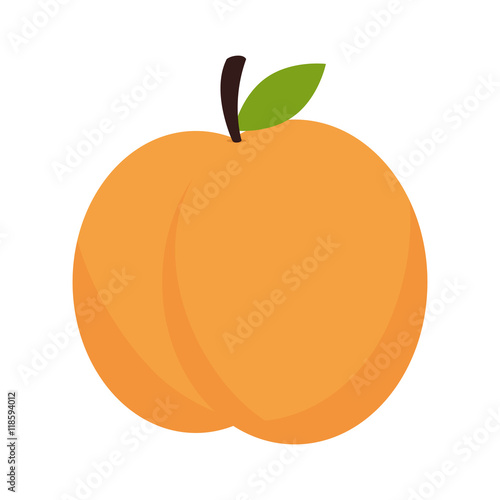 peach fruit dessert food healthy fresh nature organic vector illustration