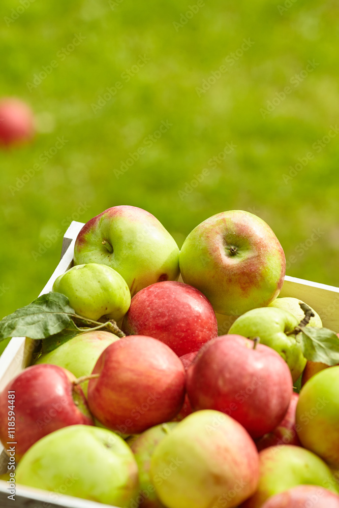 Apples  on brown wooden background