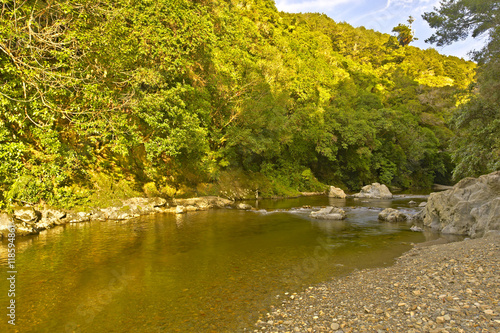 Rivendell, Kaitoke Regional Park, New Zealand photo