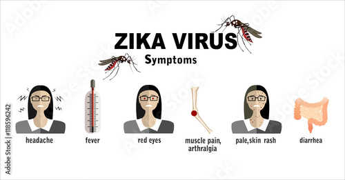 Zika virus symptoms infographics with figures and text
