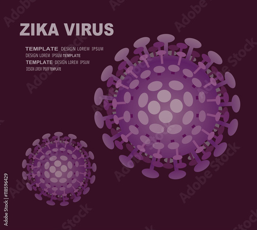 Spread of zika and dengue virus. (Vector Design)
