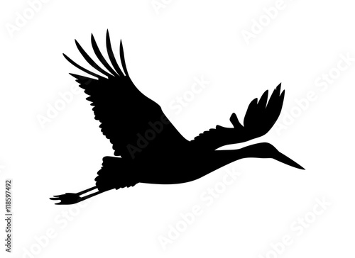 Stork bird. Vector silhouette