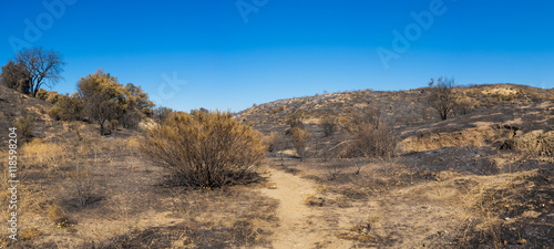 California Wildfire Burn Area