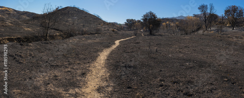 Φωτογραφία Hiking Trail through Charred Field