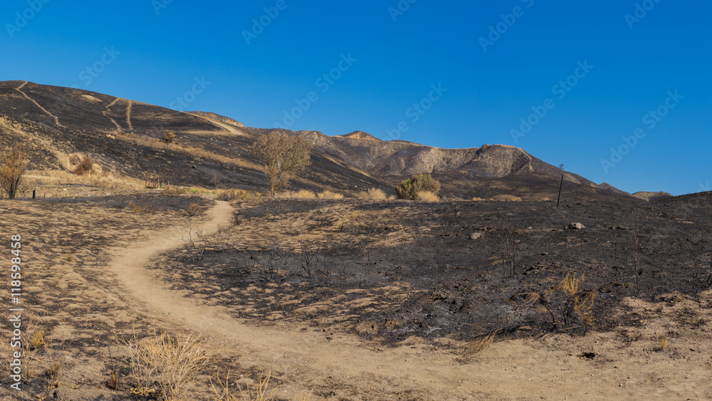 Hiking Trail in Burned Hills