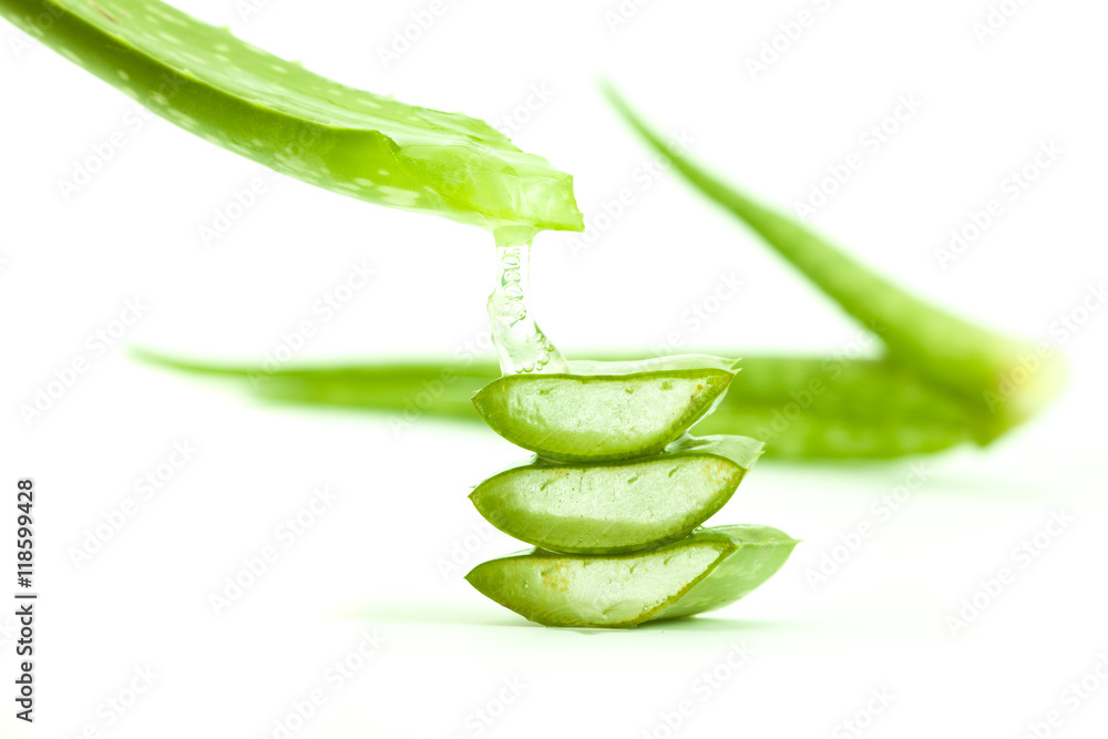 Freshly sliced Aloe Vera showing green skin and juicy texture, o Freshly sliced Aloe Vera showing green skin and juicy texture, o