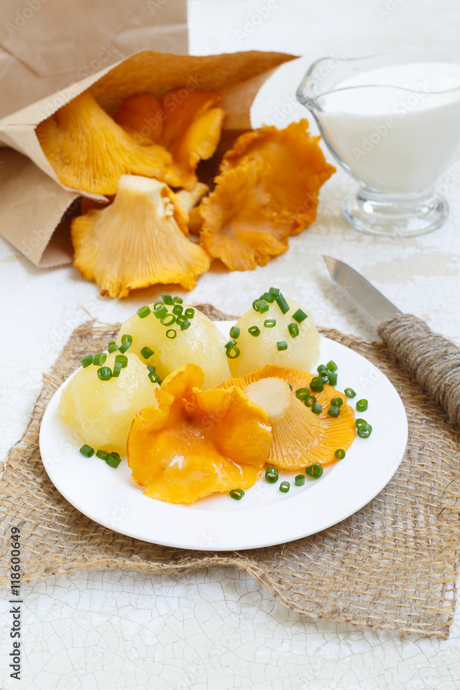 Fried chanterelles with cream and boiled potatoes on a white background Fried chanterelles with cream and boiled potatoes on a white background