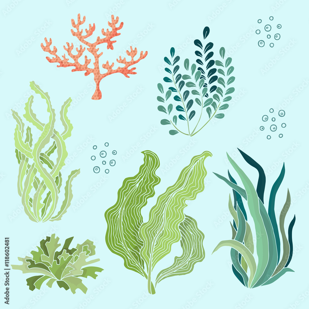 seaweed vector free download