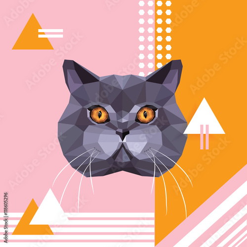 British shorthair cat breed portrait on playful trendy memphis style background
