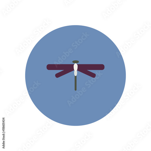 stylish icon in color circle dragonfly insect 