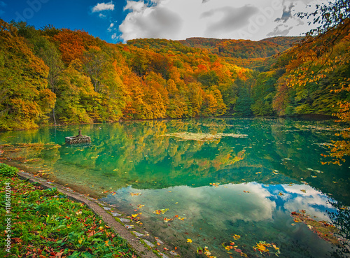Fototapeta Naklejka Na Ścianę i Meble -  Autumn in the forest at a nice lake