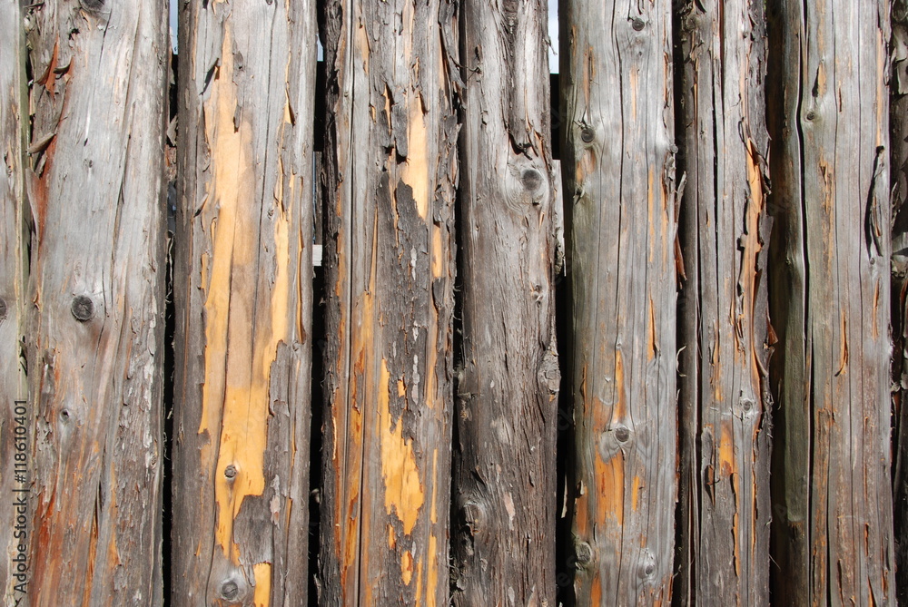Weathered logs background Weathered logs background