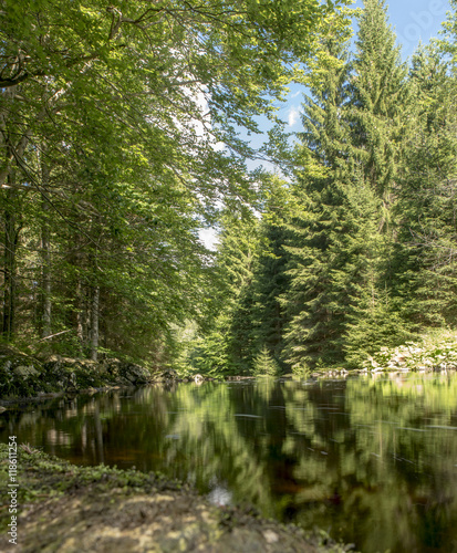 Bergsee im Wald