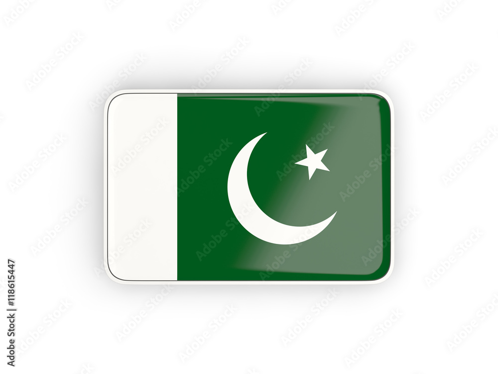 Flag of pakistan, rectangular icon Flag of pakistan, rectangular icon