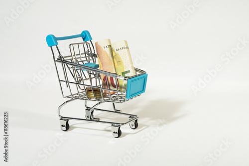 Shopping Cart with Euro Bills and Coins Isolated on White Background