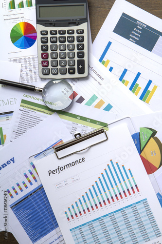 Business Investment and Performance Reports