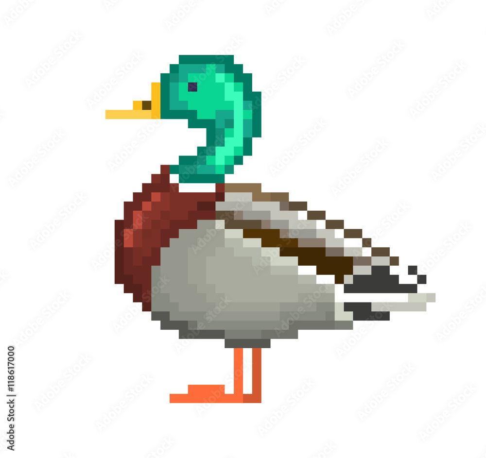 Fototapeta premium Pixel art drake, male wild duck illustration