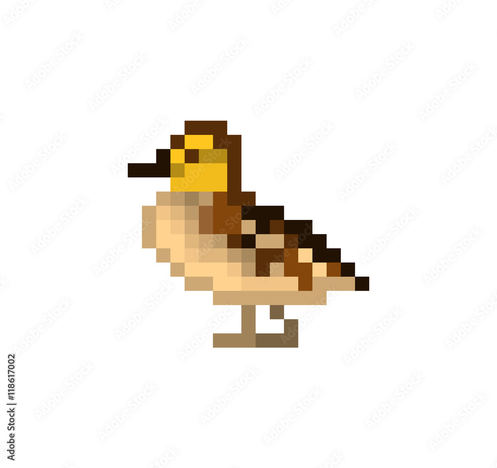 Pixel art duckling. Baby duck standing on the ground. Pixel art duckling. Baby duck standing on the ground.