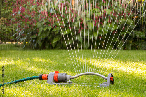Cuadro en lienzo Lawn sprinkler