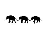 silhouette elephants relationship with trunk hold family tail walking together isolated on white background