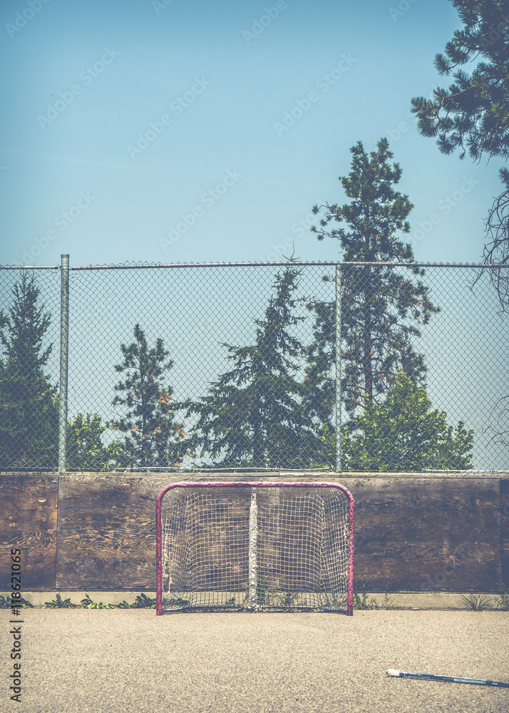 Fototapeta premium Empty Hockey Net