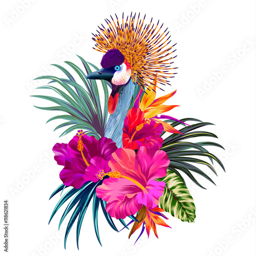 vector tropical design with a bird