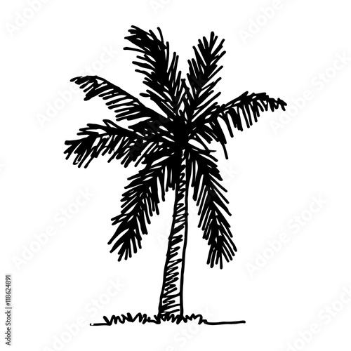 doodle coconut tree icon hand draw illustration design