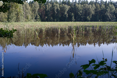 Perfekter Weiher photo