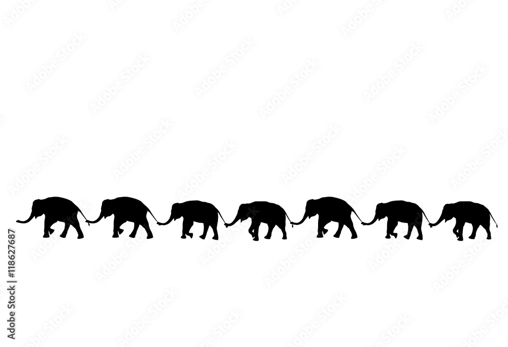Naklejka premium silhouette elephants relationship with trunk hold family tail walking together isolated on white background