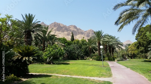 Photography ein gedi,israel