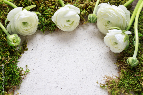 Moss and white ranunculus flowers on paper background