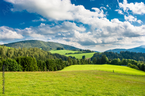 Landschaft in der Steiermark in   sterreich