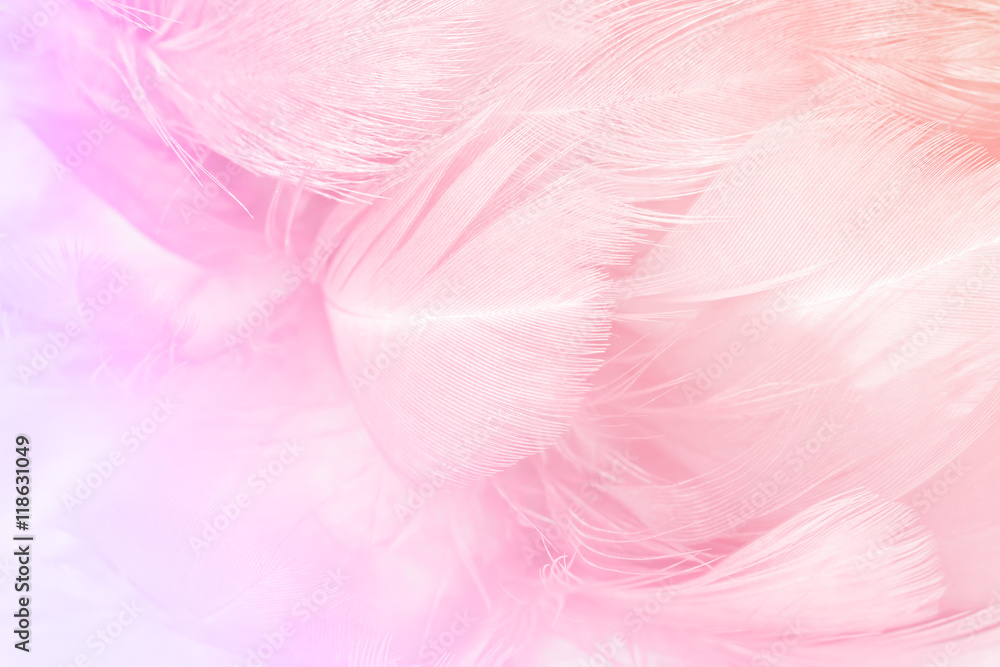 Closeup soft focus fashion Color Trends Spring Summer fluffy feathers abstract texture background