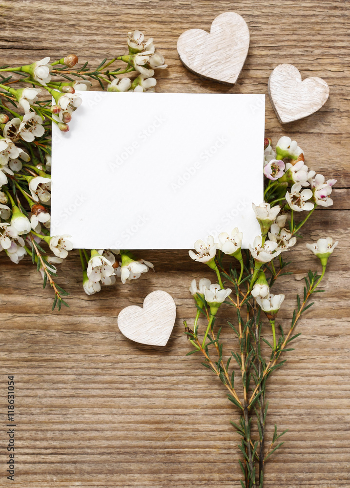 Blank card among chamelaucium flowers (waxflower) on wood Blank card among chamelaucium flowers (waxflower) on wood