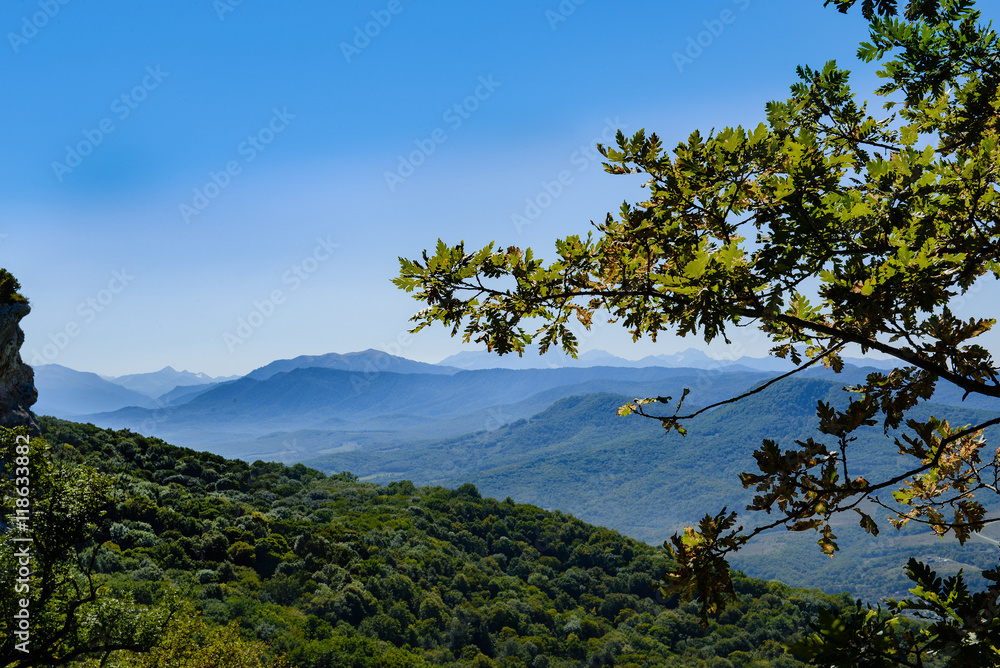 Summer landscape of the foothills of the Caucasus Summer landscape of the foothills of the Caucasus
