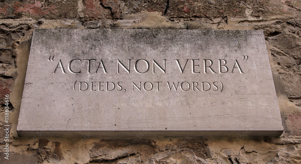 Facta non Verba - Latin phrase meaning Deeds, not Words | Poster