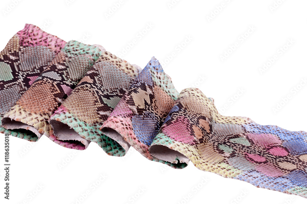 Fototapeta premium Background python snakeskin, pattern, leather