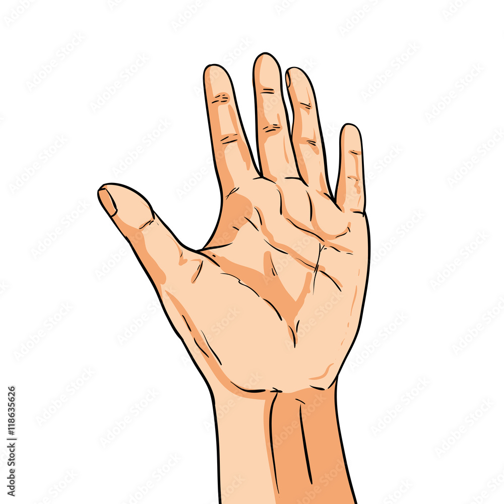 Vector hand. Fingers showing five. Illustration in comic style Vector hand. Fingers showing five. Illustration in comic style