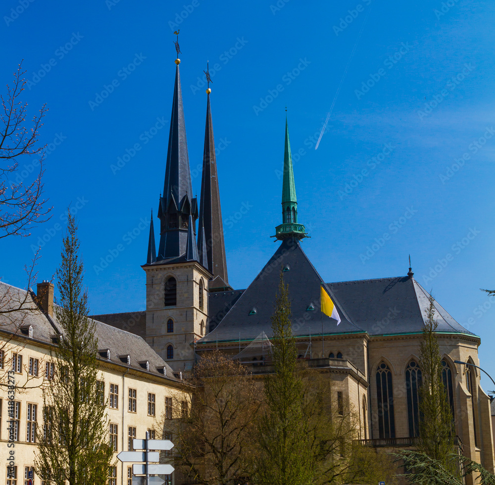 Fototapeta premium cathedral of Luxembourg