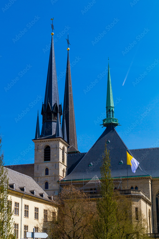 Fototapeta premium cathedral of Luxembourg