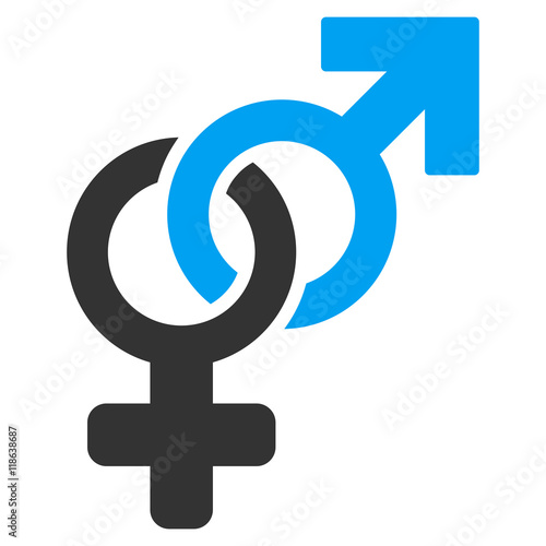 Heterosexual Symbol icon. Vector style is bicolor flat iconic symbol with rounded angles, blue and gray colors, white background.