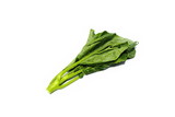 Chinese Kale. (White Background)