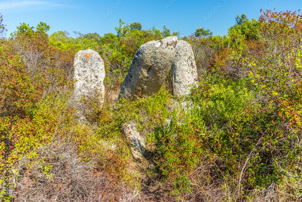 Forgotten and abandoned prehistoric site in the Corsica hills - Forgotten and abandoned prehistoric site in the Corsica hills -
