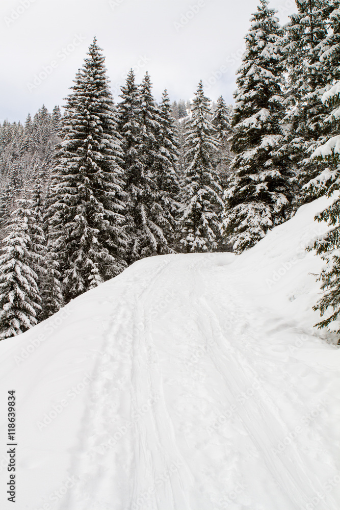 Fototapeta premium Winter in Achenkirch