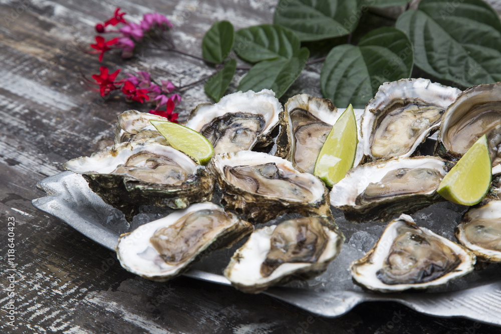 Tasty oysters on ice with lemon.
