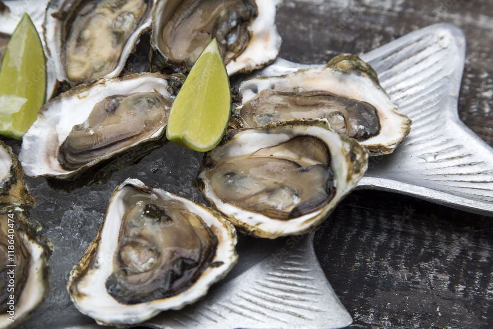 Tasty oysters on ice with lemon. Tasty oysters on ice with lemon.
