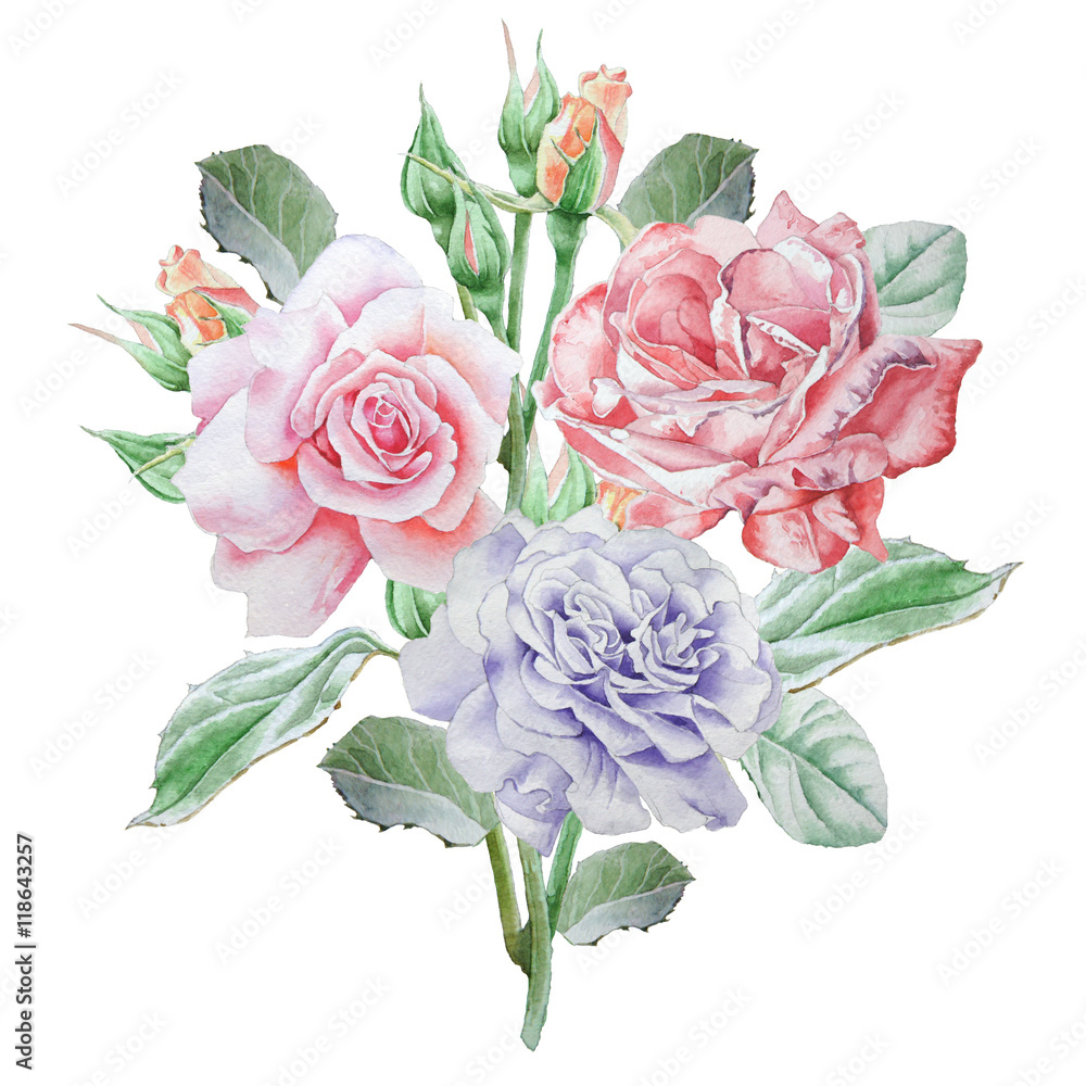 Floral card with flowers. Rose. Watercolor illustration.