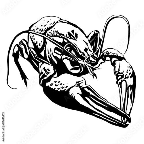 Illustration with a large cancer. Lobster.