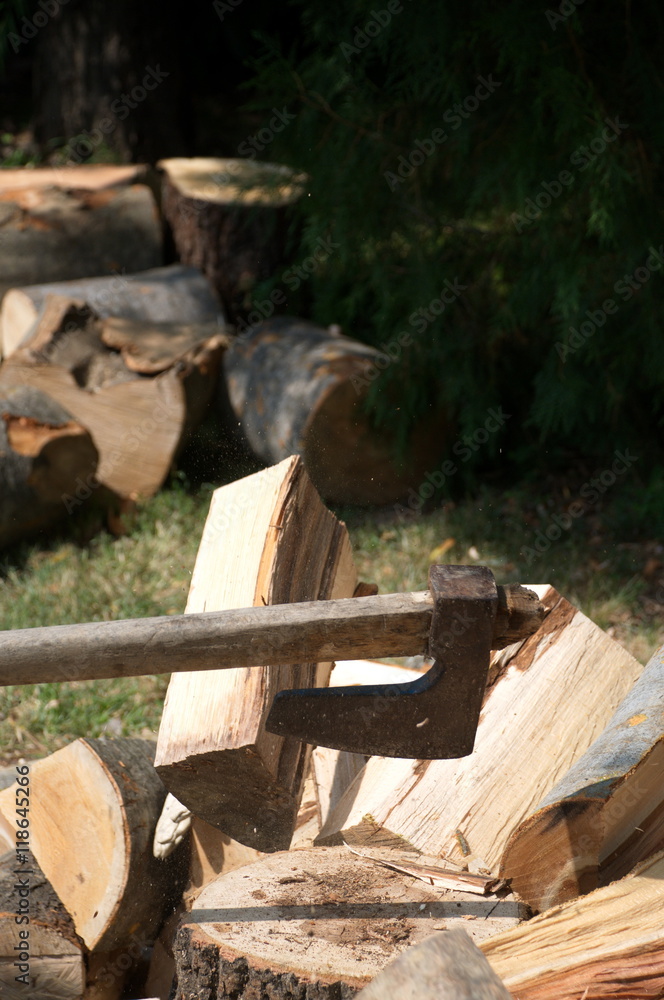 Dynamic Axe Cutting Wood