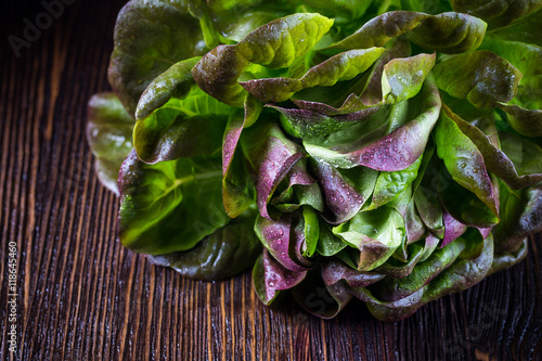 Organic Red Oakleaf lettuce photo